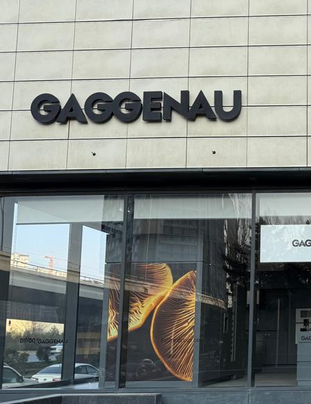 Gaggenau at Palitra Design Center